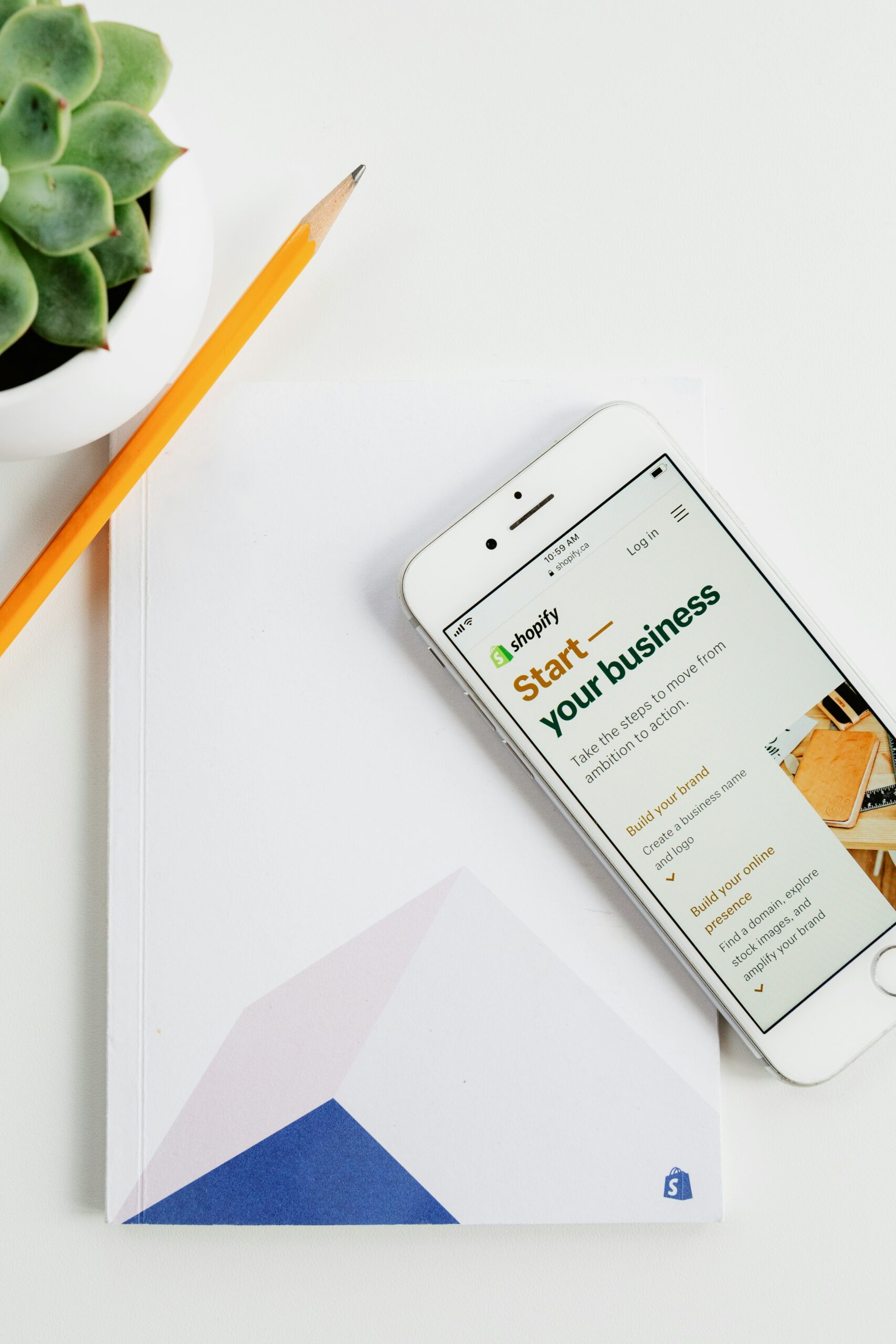 shopify expert